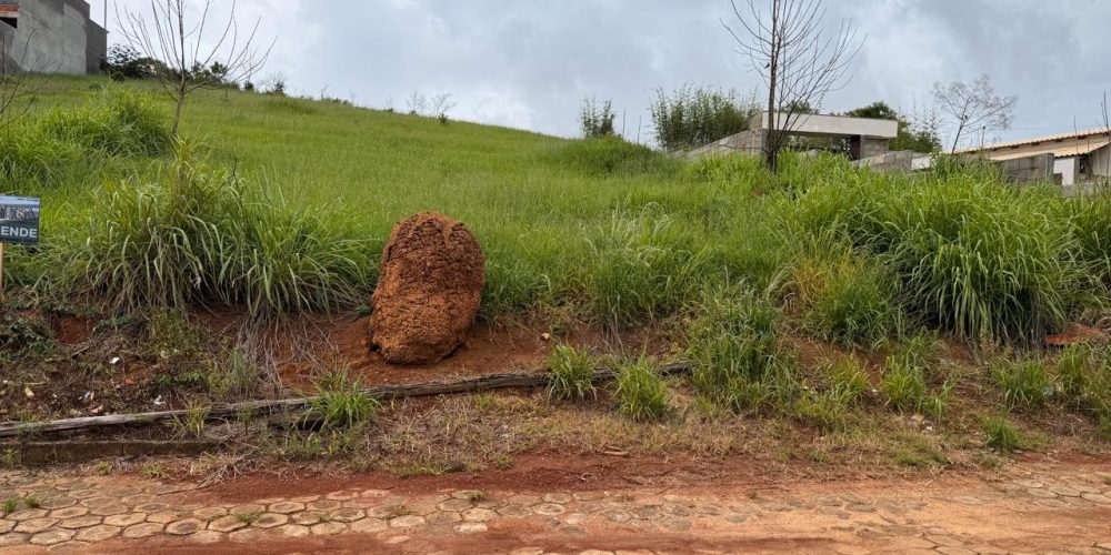 WhatsApp-Image-2025-12-19-at-14.29.44-3